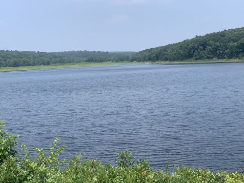 A serene lake surrounded by lush greenery and distant hills under a clear blue sky.