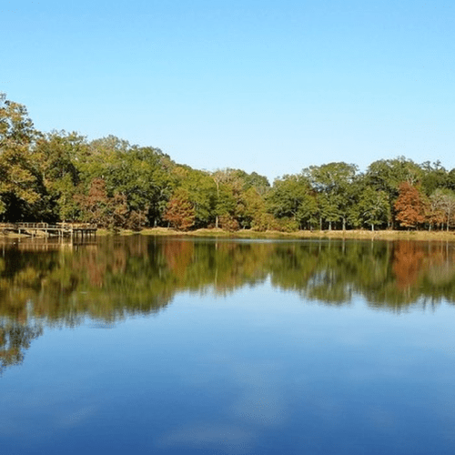 A serene lake surrounded by trees, reflecting the clear blue sky and autumn foliage.