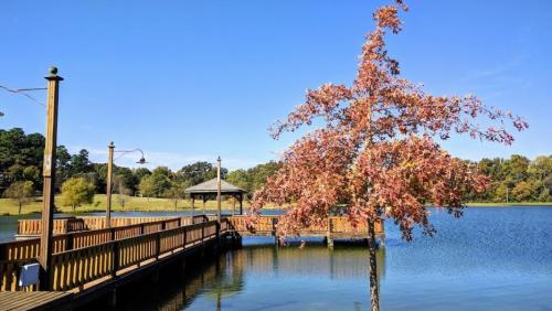 A serene lake scene with a wooden dock, gazebo, and a tree with autumn leaves under a clear blue sky.