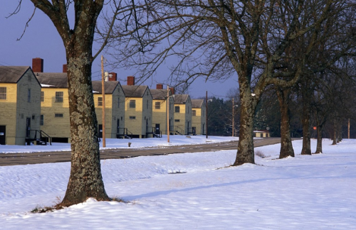 Snow-covered ground with trees lining a road, leading to yellow buildings in the background under a clear sky.