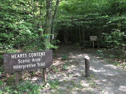 A wooded path leads into a forest, marked by signs for "Hearts Content Scenic Area" and "Interpretive Trail."