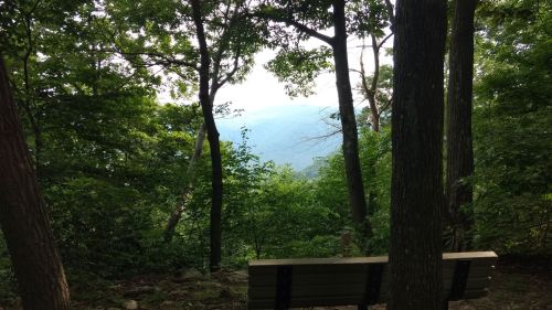A wooden bench in a forest, overlooking a distant mountain view through lush green trees.