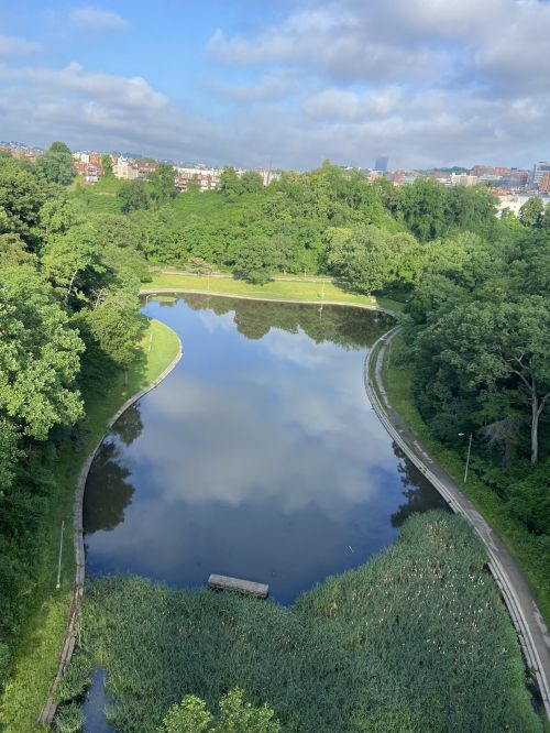 A serene park scene featuring a curved pond surrounded by lush greenery and a cloudy blue sky.