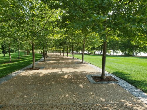 A serene pathway lined with trees, featuring gravel and grass, leading to a peaceful green space.