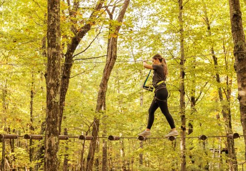 A person walks on a rope bridge in a forest, surrounded by green trees and autumn foliage.