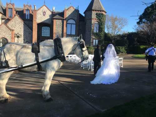 A bride walks towards a wedding ceremony, with a horse in harness nearby and a grand house in the background.