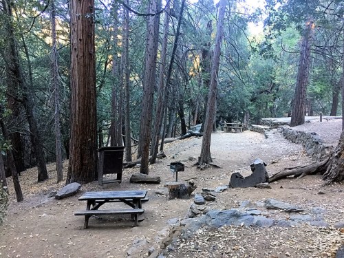A serene forest scene with tall trees, a picnic table, and a dirt path surrounded by rocks and fallen leaves.