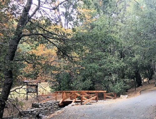 A wooden bridge crosses a path surrounded by trees with autumn foliage in a serene outdoor setting.