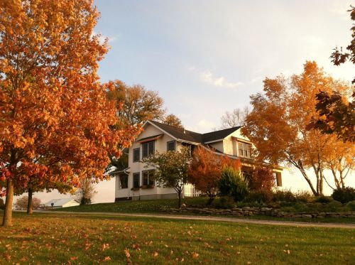 A charming white house surrounded by vibrant autumn trees and a colorful landscape under a clear sky.