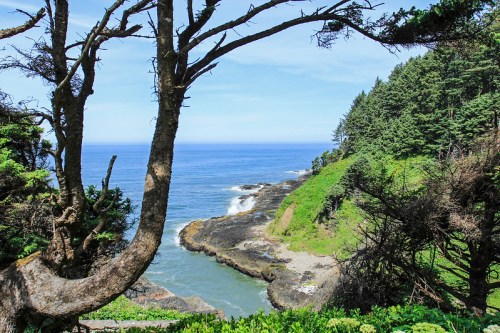 Coastal view with rocky shoreline, lush greenery, and a clear blue sky, framed by trees.