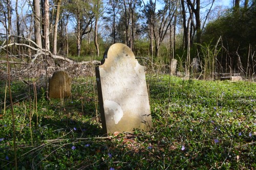 A weathered gravestone in a wooded area, surrounded by greenery and small flowers, marking the resting place of Thomas Hurst.