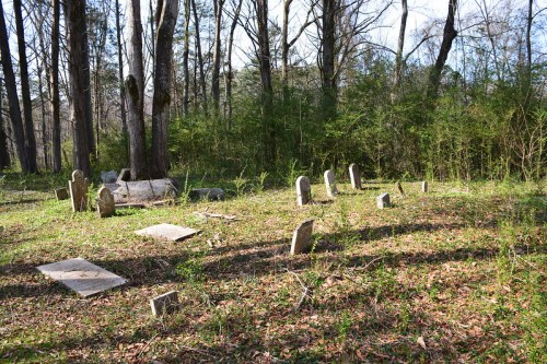 A serene, overgrown cemetery with weathered gravestones surrounded by trees and underbrush.