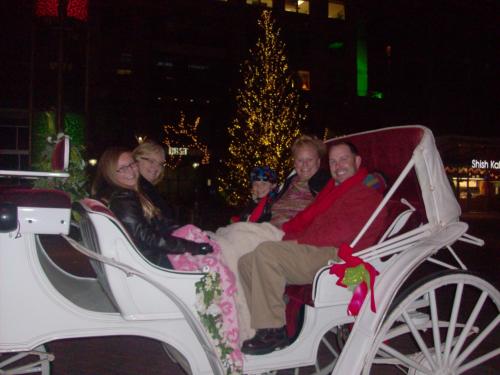 A group of five people sitting in a festive horse-drawn carriage, with a decorated tree in the background at night.