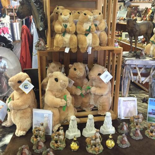 A display of plush animal toys and small figurines in a shop, featuring several tan stuffed animals and decorative items.