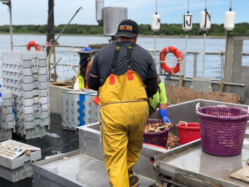 A person in yellow overalls works on a fishing boat, sorting catch into baskets near the water.