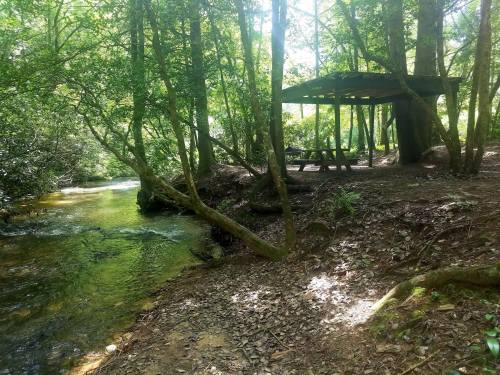 A serene forest scene with a picnic shelter by a gently flowing stream, surrounded by lush greenery.