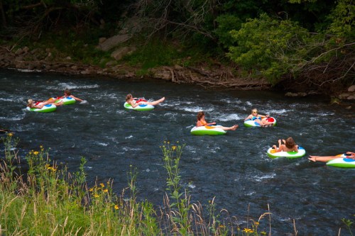 A group of people floating on colorful inner tubes down a river, surrounded by greenery and wildflowers.
