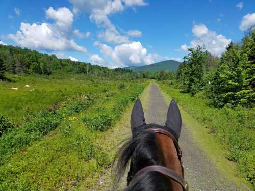 View from horseback along a grassy trail, surrounded by lush greenery and mountains under a blue sky with fluffy clouds.