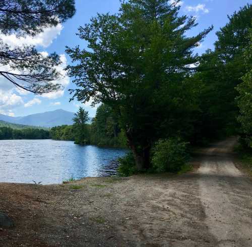 A serene lakeside scene with trees, a clear blue sky, and a dirt path leading into the lush green landscape.