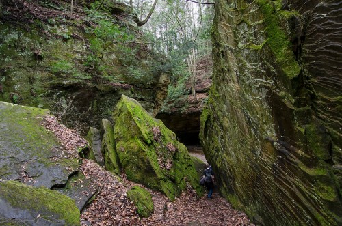 A person walks through a narrow, moss-covered canyon surrounded by tall, rocky walls and scattered leaves.
