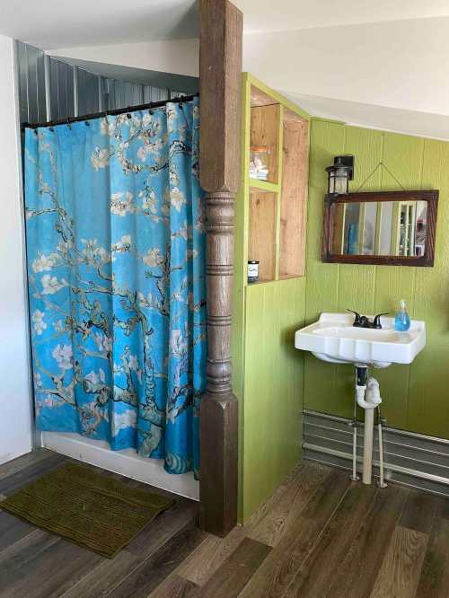 A bathroom with a blue floral shower curtain, green walls, a small sink, and a mirror. Wood accents and flooring visible.