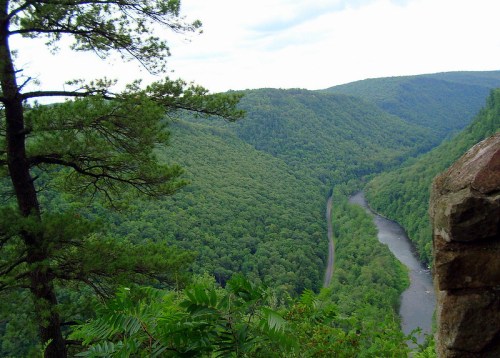 A scenic view of a lush green valley with a winding river, framed by trees and rocky outcrops.