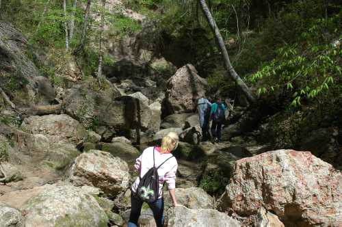 A person climbs over rocks in a lush, green forest while others navigate the rocky terrain ahead.