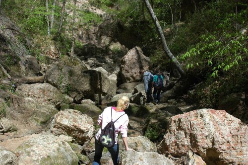 A person climbs over rocks in a lush, green forest while others navigate the rocky terrain ahead.