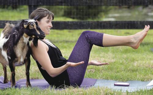 A woman in yoga pose on a mat, with a goat playfully standing beside her in a grassy outdoor setting.