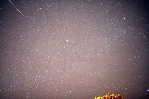 A starry night sky filled with numerous stars and a bright planet, with a tree silhouette in the foreground.
