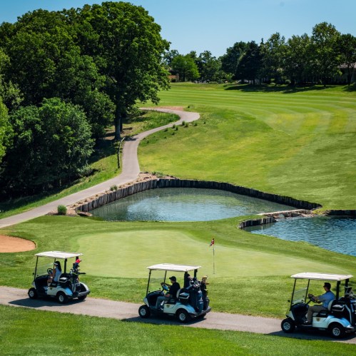 Three golf carts on a path near a green, with a pond and trees in the background on a sunny day.