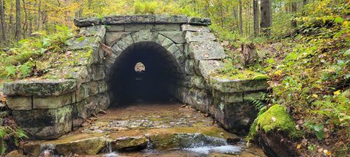 A stone arch bridge over a small stream, surrounded by lush greenery and autumn foliage in a forested area.