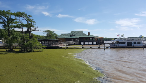 A waterfront building with a green roof, surrounded by water and greenery, under a clear blue sky.