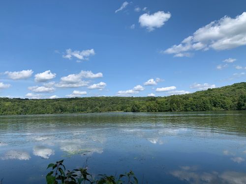 A serene lake surrounded by lush green trees under a bright blue sky with fluffy white clouds.