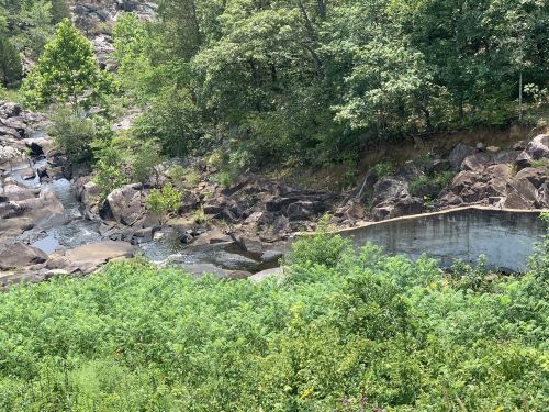 A serene landscape featuring a rocky stream surrounded by lush greenery and trees under a clear sky.
