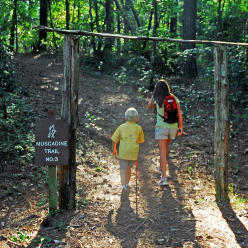 A woman and a child walk along a wooded trail marked "Muscadine Trail No. 3," surrounded by lush greenery.