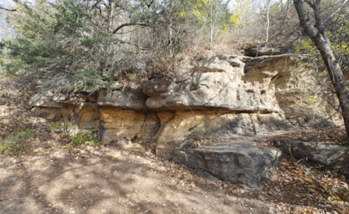Rocky cliffside surrounded by trees and fallen leaves, with a dirt path in the foreground.