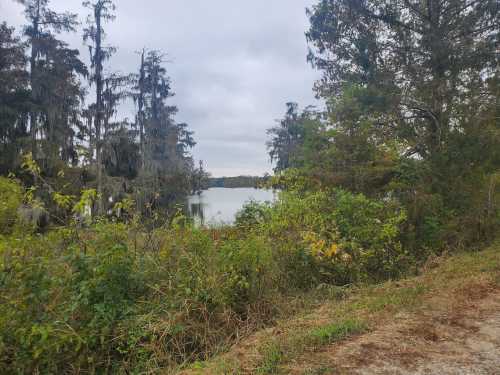 A serene lake surrounded by trees and lush greenery under a cloudy sky.