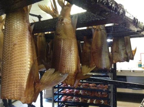 Smoked fish hanging on racks in a processing facility, showcasing a variety of fish types.