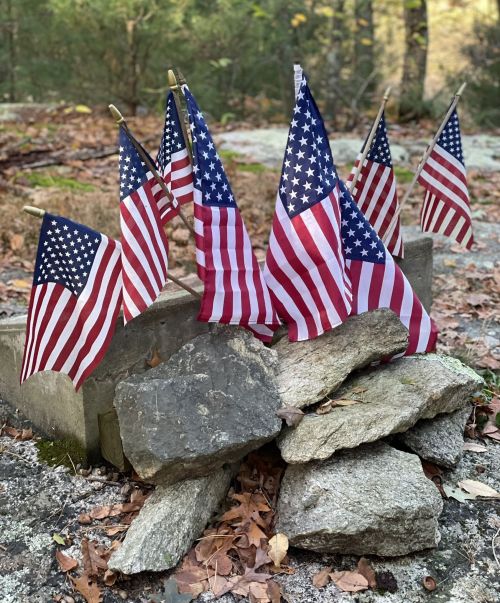 A cluster of small American flags arranged on a pile of rocks in a wooded area.