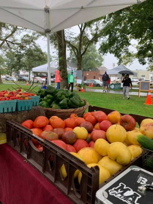 A variety of fresh fruits and vegetables displayed at a market under a tent, with people in the background.