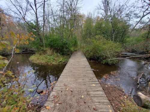 A wooden bridge spans a small stream, surrounded by lush greenery and trees in a tranquil natural setting.