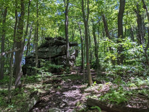 A rocky outcrop surrounded by lush green trees in a forested area, with a dirt path leading through the foliage.