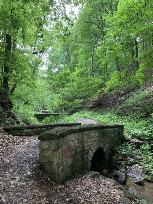 A stone bridge over a small stream, surrounded by lush green trees and foliage in a serene forest setting.