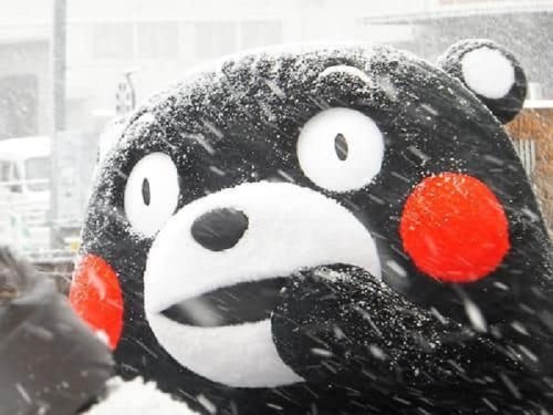 A large black bear mascot with red cheeks, smiling in a snowy environment.