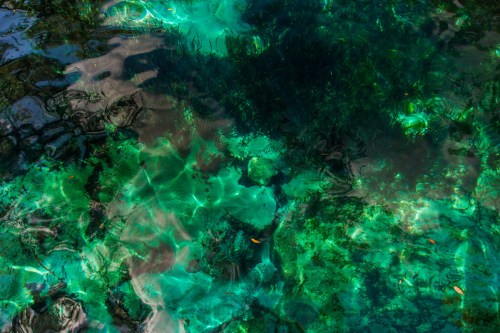 Clear turquoise water with reflections, revealing underwater plants and rocks in a serene natural setting.