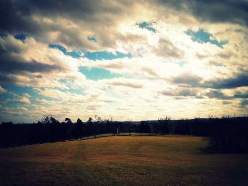 A wide view of a grassy field under a cloudy sky, with trees lining the horizon in the background.