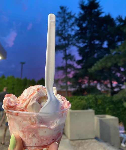 A hand holding a cup of strawberry swirl ice cream against a colorful sunset sky with trees in the background.