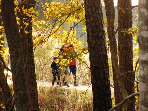 A group of people walking on a path surrounded by trees with autumn leaves.