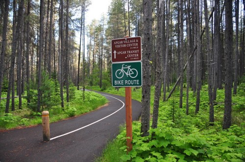 A bike route sign along a winding path in a lush forest with tall trees and greenery.